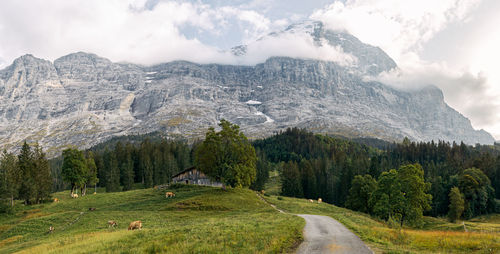 Hiking with view to the eiger-nordwand