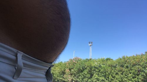 Low angle view of trees on field against clear sky