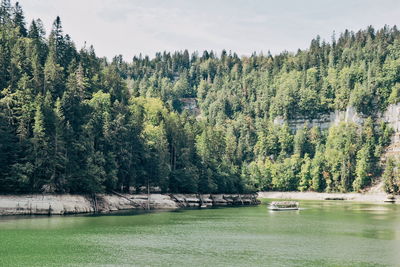 Scenic view of pine trees by lake against sky