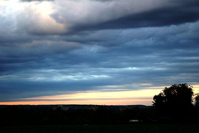 Silhouette trees on field against sky at sunset