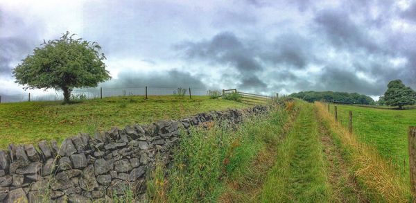 Scenic view of grassy field against cloudy sky