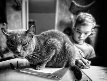 Close-up of cat sitting with boy writing on paper over table at home