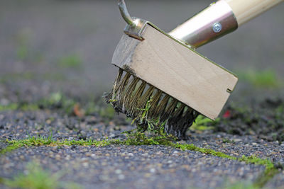 Remove moss and weeds from the pavement with the wire brush on a stick