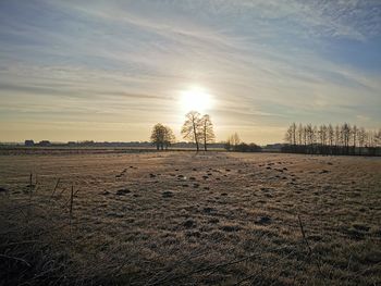 Scenic view of field against sky during sunset