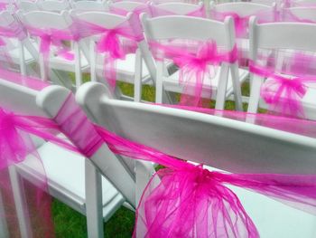 Close-up of pink flowers