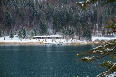 Scenic view of lake in forest during winter