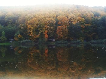 Scenic view of lake in forest during autumn