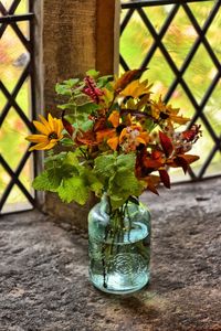 Close-up of flowering plant in vase