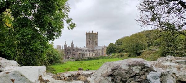 Trees and buildings against sky
