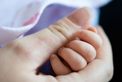 Close-up of woman holding baby hands