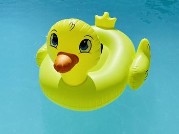 Close-up of yellow fish swimming in pool