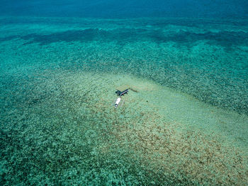 High angle view of birds on beach