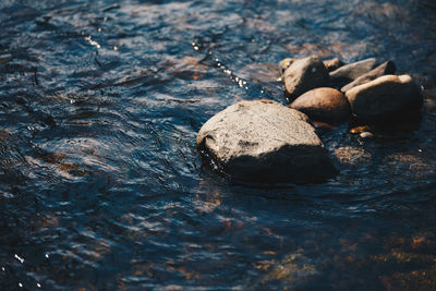 Close-up of stones in water