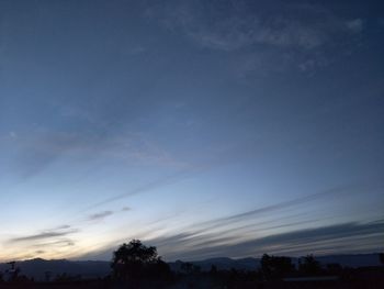 Silhouette trees against sky during sunset