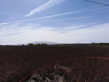 Scenic view of field against sky