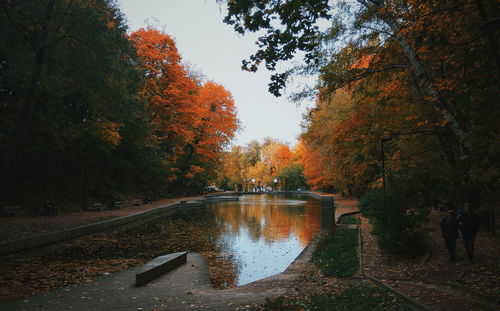 Trees by lake during autumn