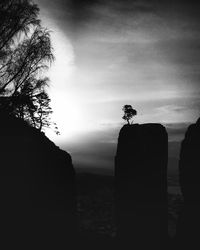 Silhouette trees on field against sky at sunset