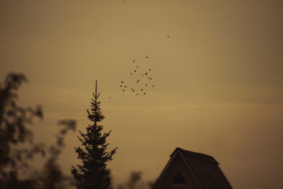 Silhouette birds flying against sky during sunset