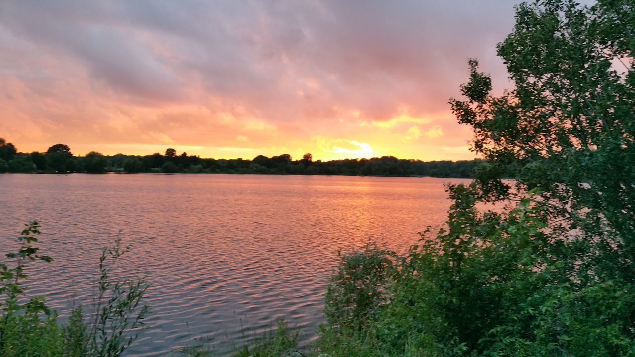 tree, sunset, nature, lake, water, beauty in nature, sky, tranquility, scenics, tranquil scene, no people, plant, growth, outdoors, landscape, day