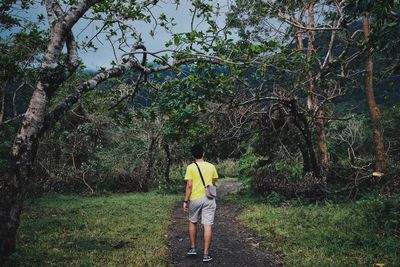 Rear view of man exploring forest