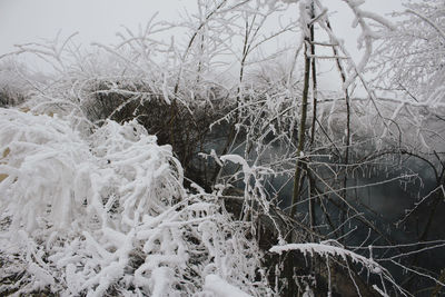 Close-up of frozen water