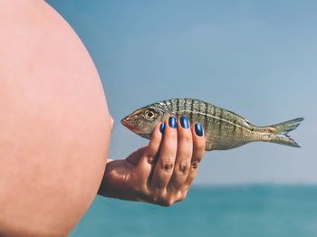 Close-up of hand holding fish against blue sky