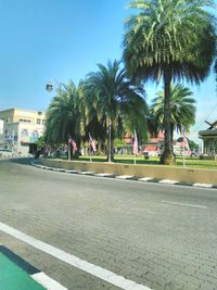 Street by palm trees and buildings against sky