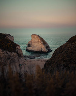 Scenic view of shark fin cove at dawn