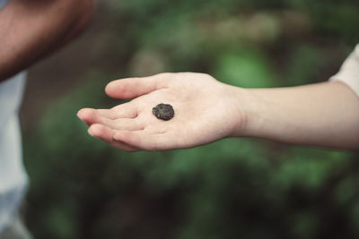Close-up of hand holding snail