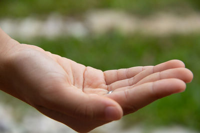 Close-up of hand against blurred background