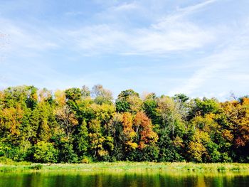 Scenic view of trees against sky