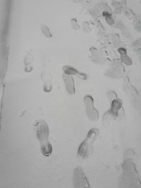 High angle view of footprints on snow