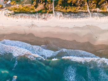 Aerial view of sea and trees