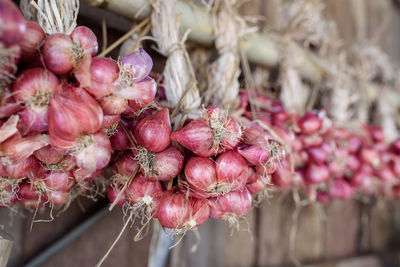 Close-up of pink roses on display at market