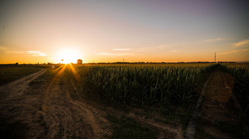 Scenic view of field against sky during sunset