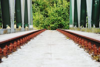 Footbridge against trees