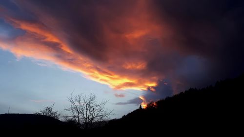 Low angle view of silhouette trees against dramatic sky