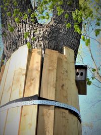 Low angle view of birdhouse on tree