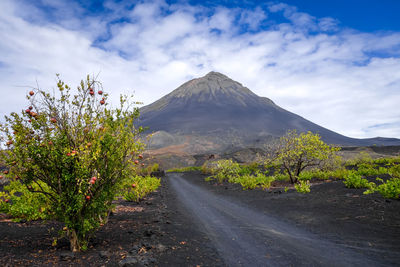 Road amidst plants and mountains against sky