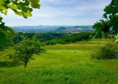 Scenic view of landscape against sky