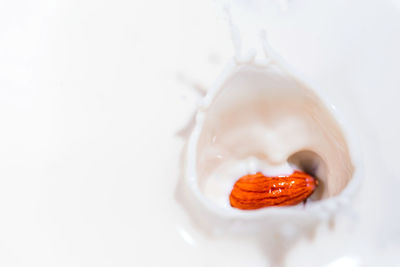 Close-up of ice cream over white background