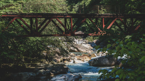 View of bridge over river in forest