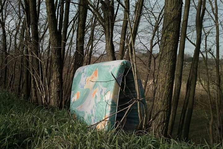 tree, grass, abandoned, bare tree, tree trunk, damaged, tranquility, nature, field, day, branch, outdoors, obsolete, no people, blue, absence, forest, nautical vessel, sky, old