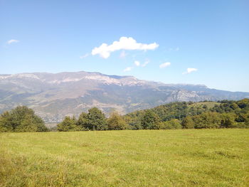 Scenic view of field against sky