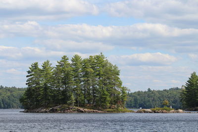 Scenic view of lake by trees against sky