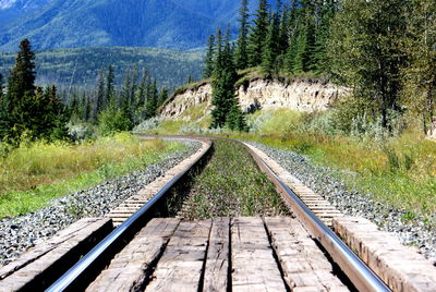 Surface level of railroad track