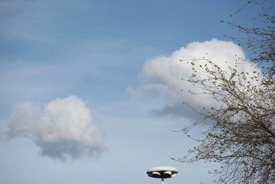 Low angle view of trees against blue sky