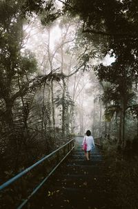 Rear view of a girl sitting on tree