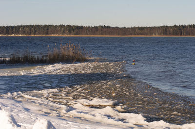 Scenic view of lake against clear sky during winter