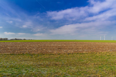 Scenic view of agricultural field against sky